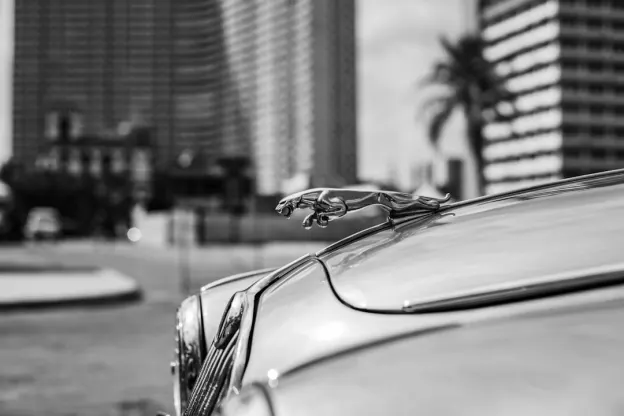 Казум Казино Android/iOS приложение